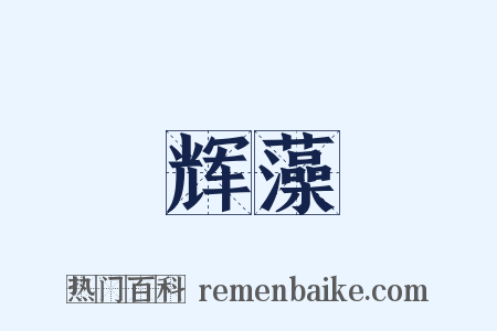 辉藻是什么意思的图片